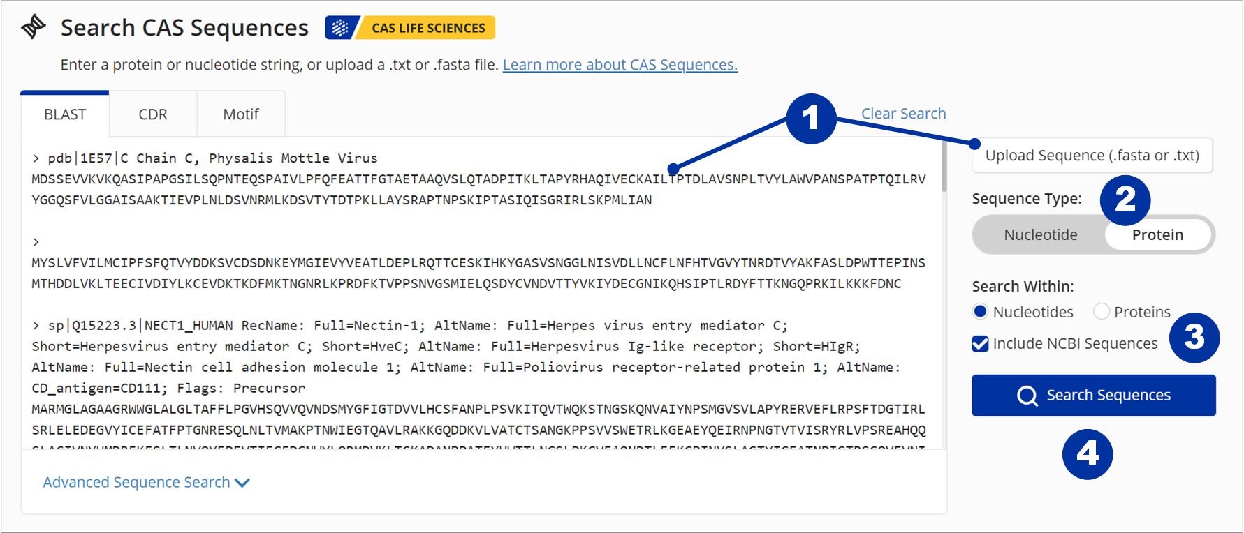 SF-SequenceSearch-BLAST.png